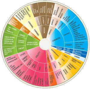 Wine-Aroma-Wheel1